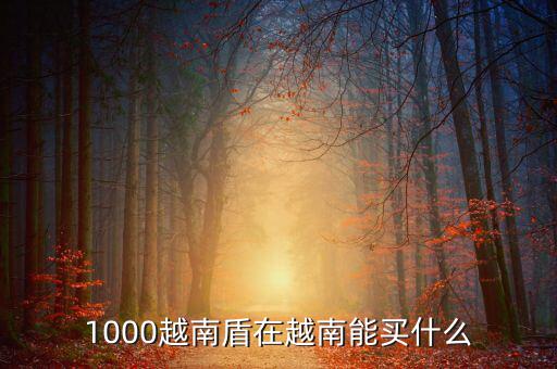 1越南盾能買(mǎi)什么，1盾越南幣能買(mǎi)什么