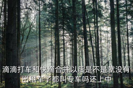 滴滴快滴合并叫什么，滴滴快的合并后叫什么