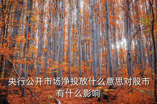 什么是央行凈投放，央行凈投放是甚么意思