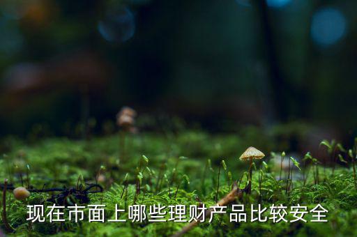 什么理財(cái)產(chǎn)品安全，做理財(cái)哪種安全些