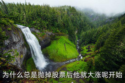 為什么總是拋掉股票后他就大漲呢開(kāi)始