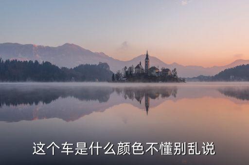尼日利亞的國(guó)車是什么顏色，GIN的車子是什么牌子什么顏色的