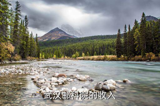 武漢郵科院是做什么的，有武漢郵科院的資料么