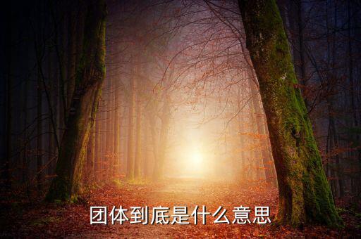 游說(shuō)團(tuán)體是什么，什么是團(tuán)體