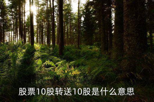 十股轉(zhuǎn)贈十股是什么意思，股票10股轉(zhuǎn)送10股是什么意思