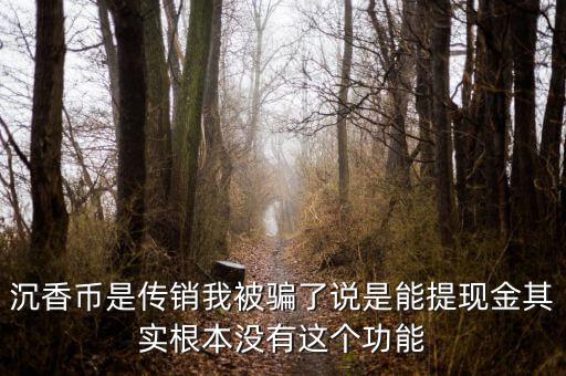 沉香幣是傳銷(xiāo)我被騙了說(shuō)是能提現(xiàn)金其實(shí)根本沒(méi)有這個(gè)功能
