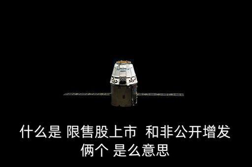 什么是 限售股上市  和非公開增發(fā)倆個 是么意思