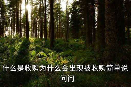 什么是收購為什么會(huì)出現(xiàn)被收購簡單說  問問
