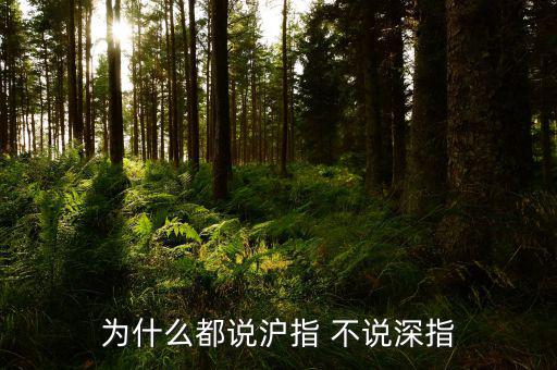 為什么滬指比深指低，滬市為何比深市指數(shù)低