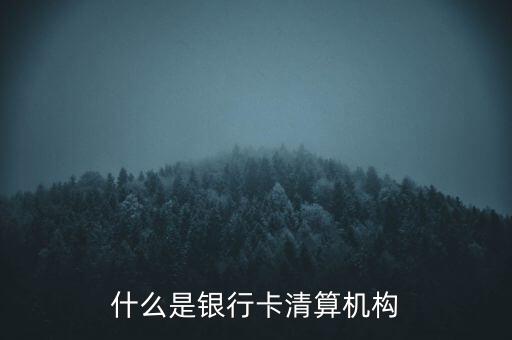 同一卡組織清算機(jī)構(gòu)指什么，銀行卡清算機(jī)構(gòu)銀行支付機(jī)構(gòu)到底有什么區(qū)