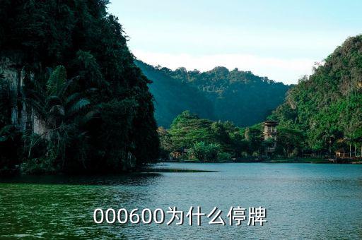 軟控股份為什么停牌，002399今天為什么停牌