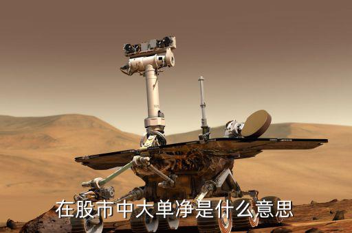 大單凈值什么意思，大單凈比是什么意思