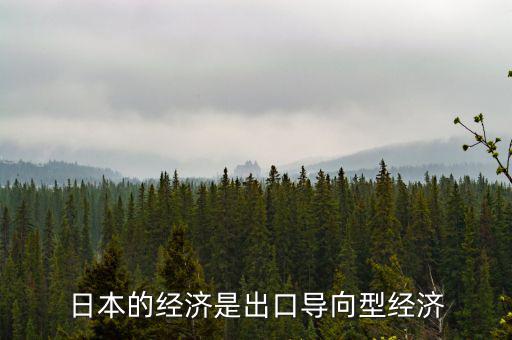 日本是什么型經濟，日本的經濟模式是