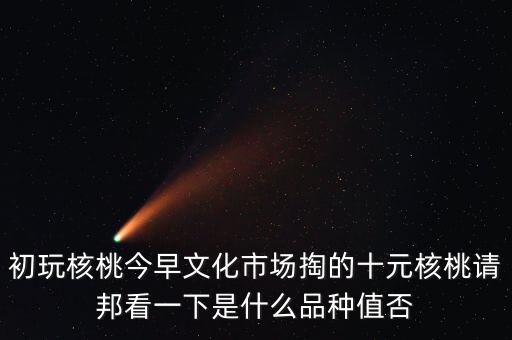 賭核桃是什么品種，請問我這個手玩核桃是什么品種好嗎值多錢