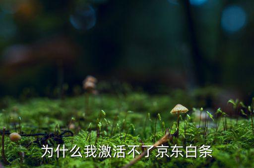 為什么京東的白條激活不了，京東商城的白條為什么激活不了