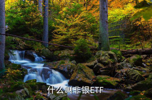非銀etf是什么意思，易方達(dá)滬深300非銀etf是什么意思