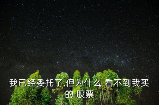 我已經(jīng)委托了,但為什么 看不到我買的 股票