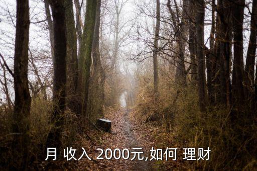 月收入2000怎么理財(cái),理財(cái)就是賺錢(qián)!
