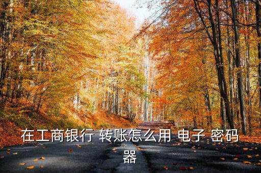 工銀電子密碼器怎么操作怎么轉(zhuǎn)賬,電銀-3密碼設(shè)備開(kāi)通流程