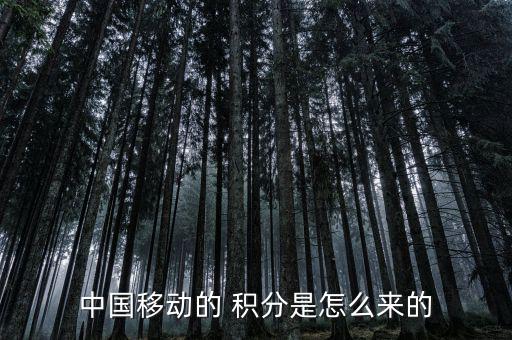10086的積分怎么來的,中國(guó)移動(dòng)的積分有何來頭?