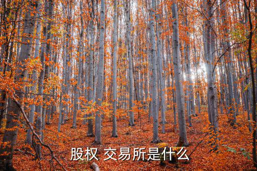北京股權交易中心怎么樣,在股權交易中心上市是什么意思?
