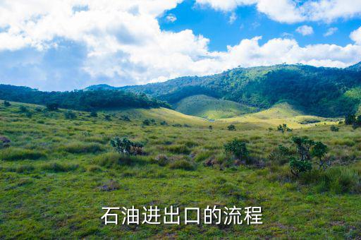 中國進(jìn)口石油是怎么實(shí)現(xiàn)的,中國進(jìn)口的原油流程如何進(jìn)行