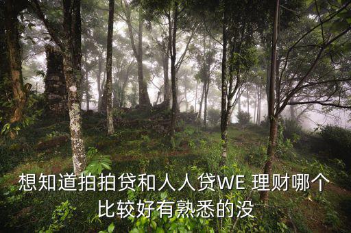 想知道拍拍貸和人人貸WE 理財(cái)哪個(gè)比較好有熟悉的沒