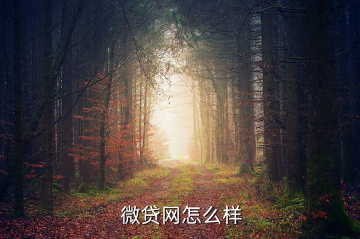 聯(lián)金微貸怎么樣,趙聯(lián)金榮網(wǎng)貸平臺怎么樣?