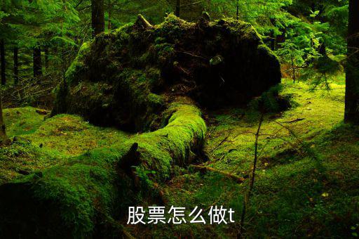 股票怎么做t比較好,開盤后現(xiàn)金買入或現(xiàn)金賣出股票當(dāng)天可獲利
