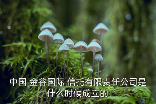 中國 金谷國際 信托有限責任公司是什么時候成立的