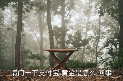 請(qǐng)問一下支付寶 黃金是怎么 回事