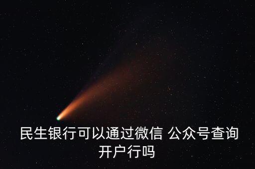 民生銀行公眾號(hào)怎么綁定,民生銀行借記卡銀行查詢(xún)渠道:
