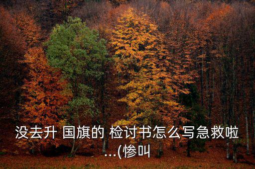 沒(méi)去升 國(guó)旗的 檢討書(shū)怎么寫(xiě)急救啦…(慘叫