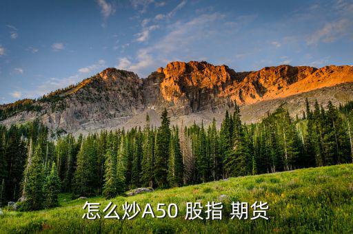 個人怎么做股指期貨,股指期貨開戶須滿足什么條件?