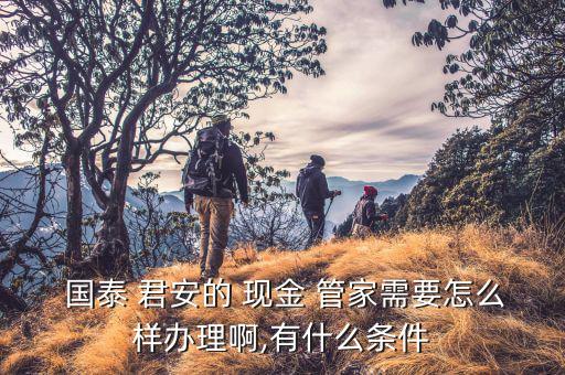  國泰 君安的 現金 管家需要怎么樣辦理啊,有什么條件