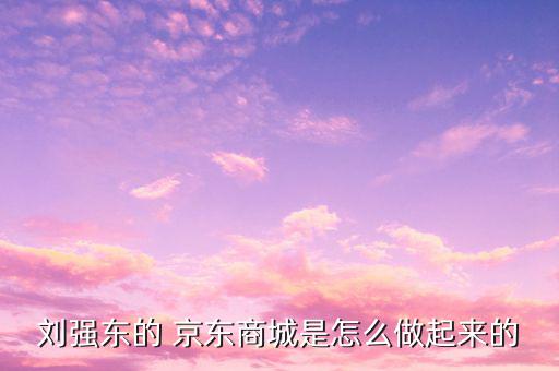 劉強(qiáng)東的 京東商城是怎么做起來(lái)的