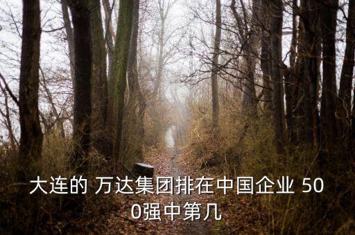 大連的 萬(wàn)達(dá)集團(tuán)排在中國(guó)企業(yè) 500強(qiáng)中第幾