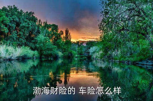 渤海車險(xiǎn)理賠怎么樣,親愛的，渤海車險(xiǎn)還不錯(cuò)，挺靠譜的