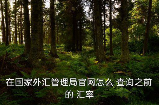 怎么查詢(xún)當(dāng)前匯率,如何查詢(xún)外匯匯率?
