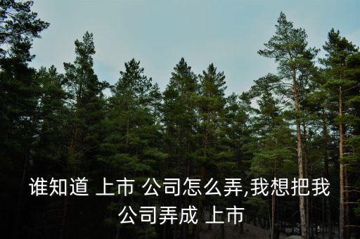 誰(shuí)知道 上市 公司怎么弄,我想把我 公司弄成 上市