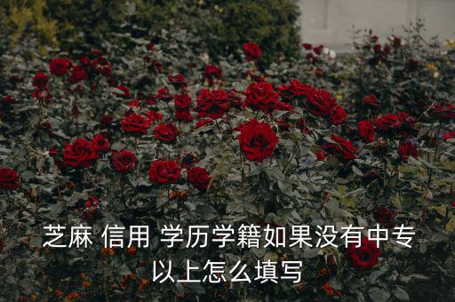 芝麻信用分學(xué)歷怎么填,芝麻信用如何完成評(píng)分學(xué)歷資訊