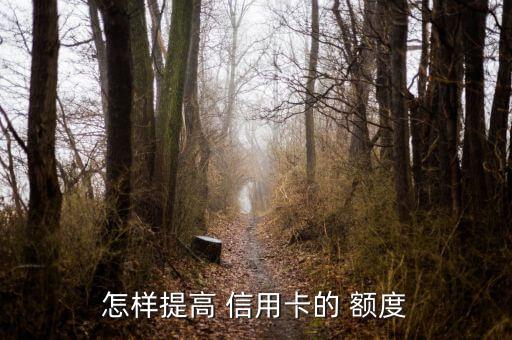 怎樣提高 信用卡的 額度