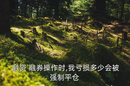  融資 融券操作時(shí),我虧損多少會(huì)被強(qiáng)制平倉