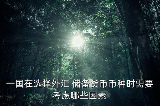 一國(guó)在選擇外匯 儲(chǔ)備貨幣幣種時(shí)需要考慮哪些因素