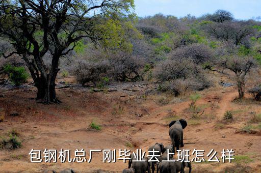 包鋼股份怎么樣最新,包鋼機(jī)械總廠(chǎng)剛畢業(yè)就上班挺好的!
