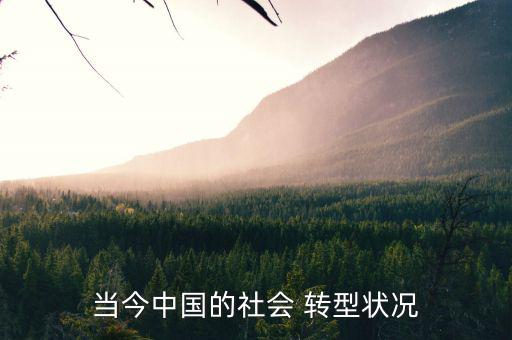 中國怎么轉(zhuǎn)型,穿越歷史三峽中國現(xiàn)狀猶如一場穿越時(shí)空賽跑