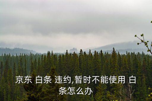 京東 白條 違約,暫時(shí)不能使用 白條怎么辦