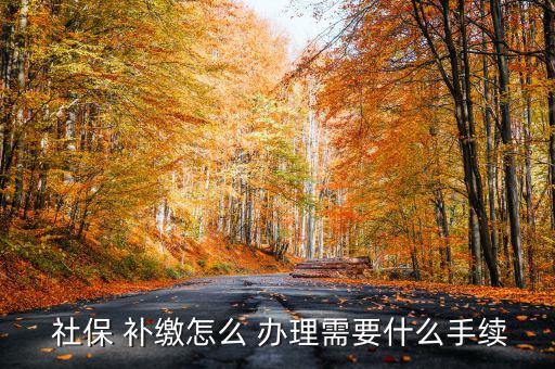 怎么辦理社保補繳,未辦理社會保險登記的用戶可申請補繳社保