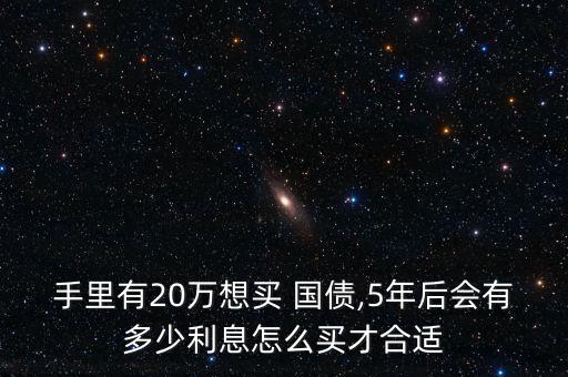 手里有20萬想買 國債,5年后會有多少利息怎么買才合適