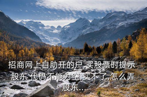 招商網(wǎng)上自助開(kāi)的戶,買(mǎi)股票時(shí)提示 股東 代碼不能為空,買(mǎi)不了,怎么弄 股東...